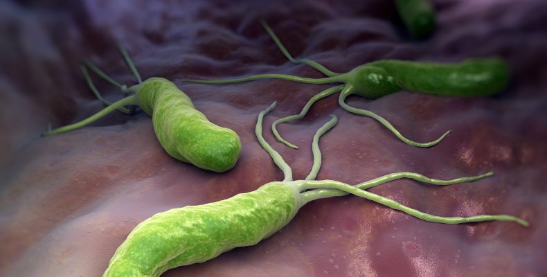 H. Pylori